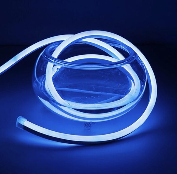 img_1899 Neon Rope Signs